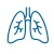 Categoria: Apparato respiratorio