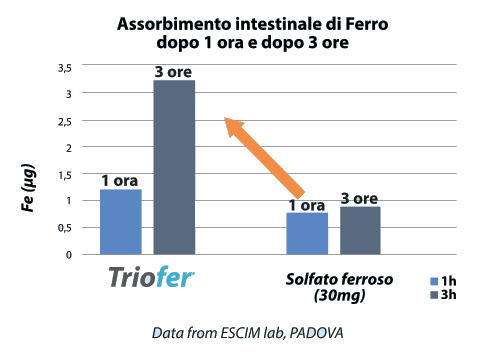 Assorbimento intestinale ferro dopo 1 e 3 ore