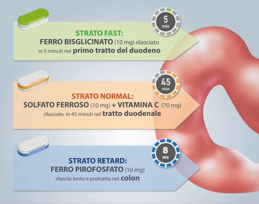 Processo intestinale Triofer
